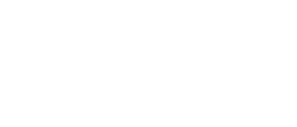 Logo serasa